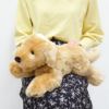 ゴールデンレトリバー S モダン かわいい 人気 おしゃれ