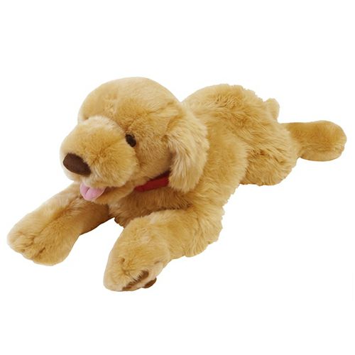 ゴールデンレトリバー L モダン かわいい 人気 おしゃれ