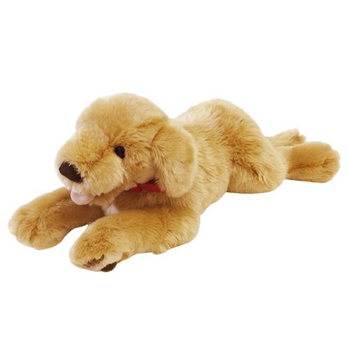 ゴールデンレトリバー M モダン かわいい 人気 おしゃれ