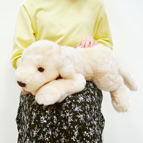 ラブラドール レトリバー ホワイト M モダン かわいい 人気 おしゃれ