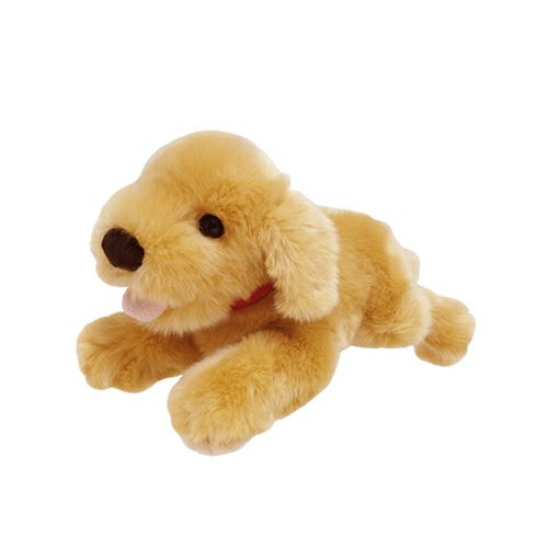 ゴールデンレトリバー SS モダン かわいい 人気 おしゃれ