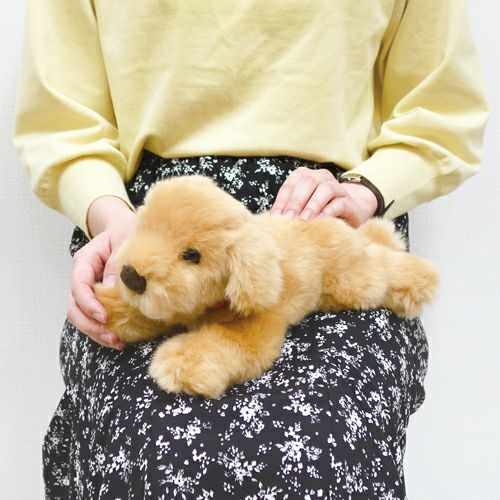 ゴールデンレトリバー SS モダン かわいい 人気 おしゃれ