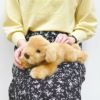 ゴールデンレトリバー SS モダン かわいい 人気 おしゃれ
