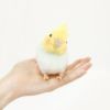 ことりのね オカメインコ モダン かわいい 人気 おしゃれ