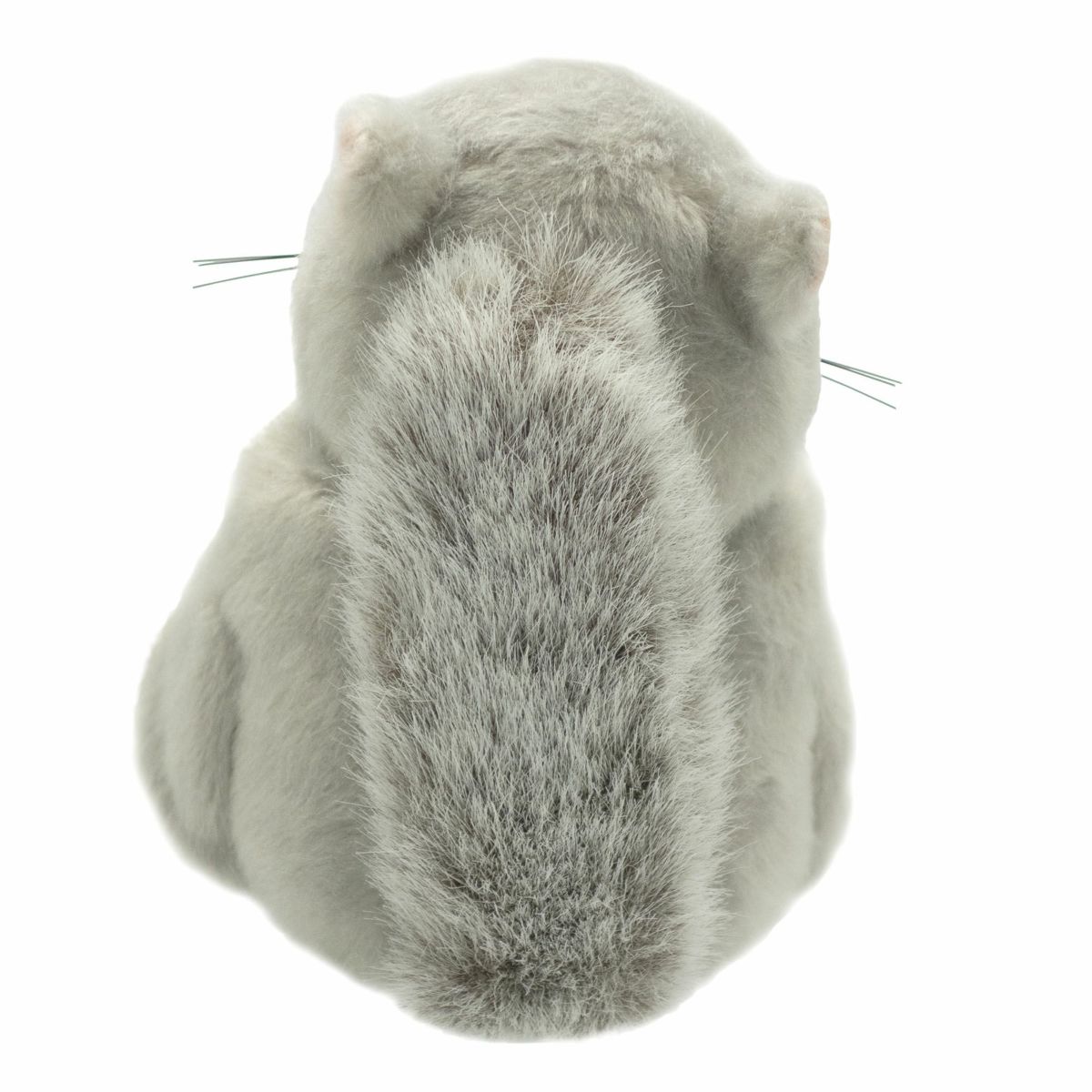 エゾモモンガ モダン かわいい 人気 おしゃれ