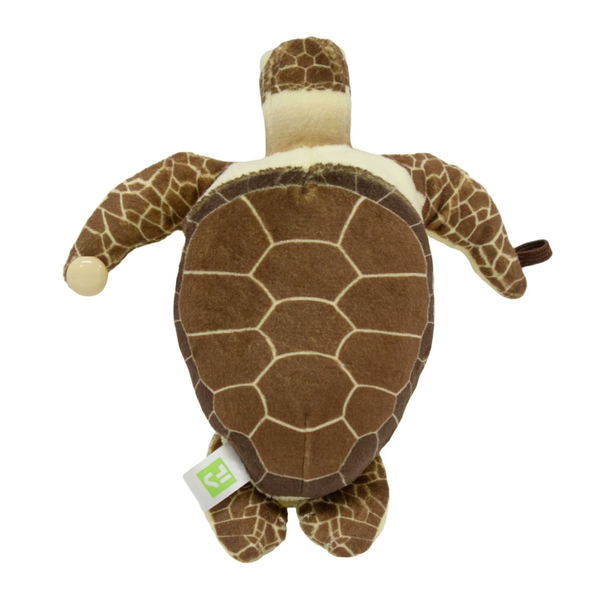 くっつきたい！ ウミガメ モダン かわいい 人気 おしゃれ