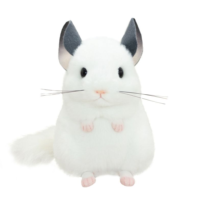 チンチラ モダン かわいい 人気 おしゃれ