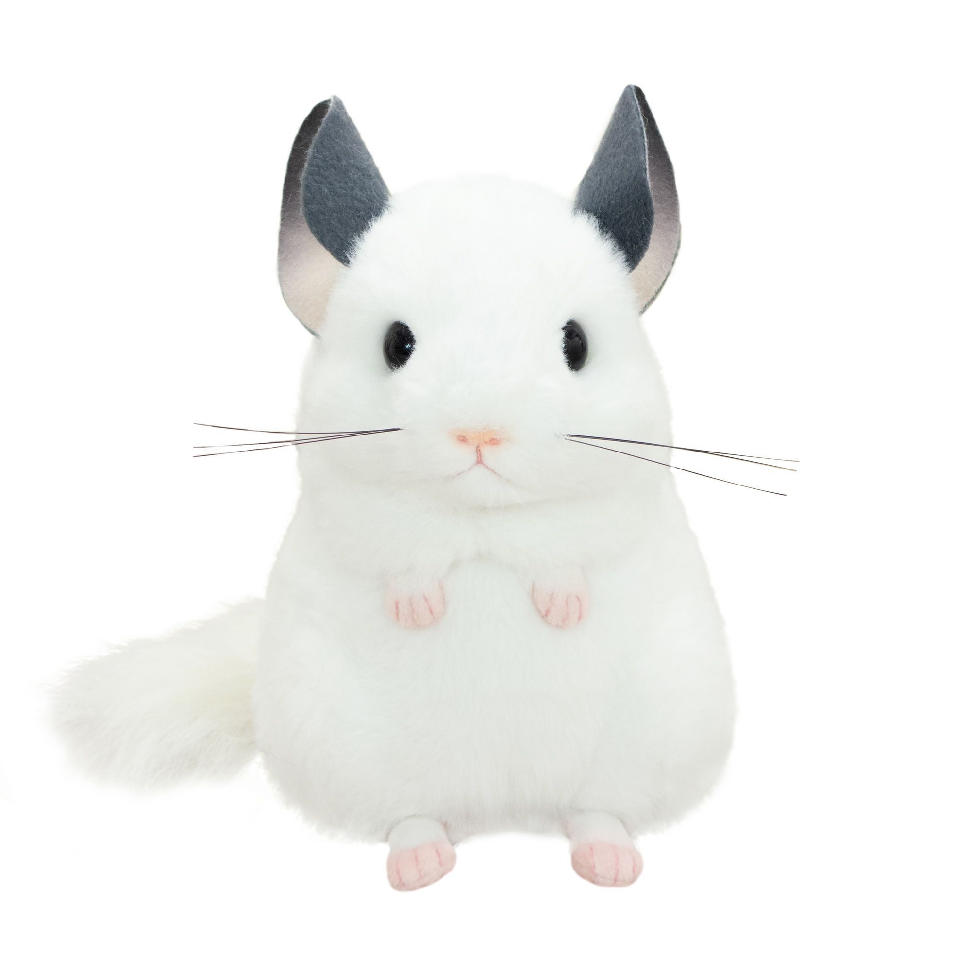 チンチラ モダン かわいい 人気 おしゃれ
