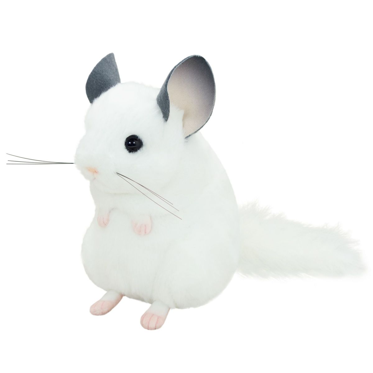 チンチラ モダン かわいい 人気 おしゃれ