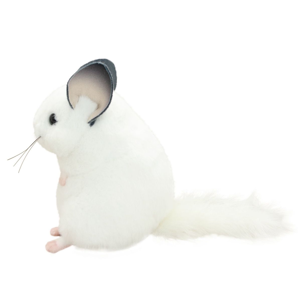 チンチラ モダン かわいい 人気 おしゃれ