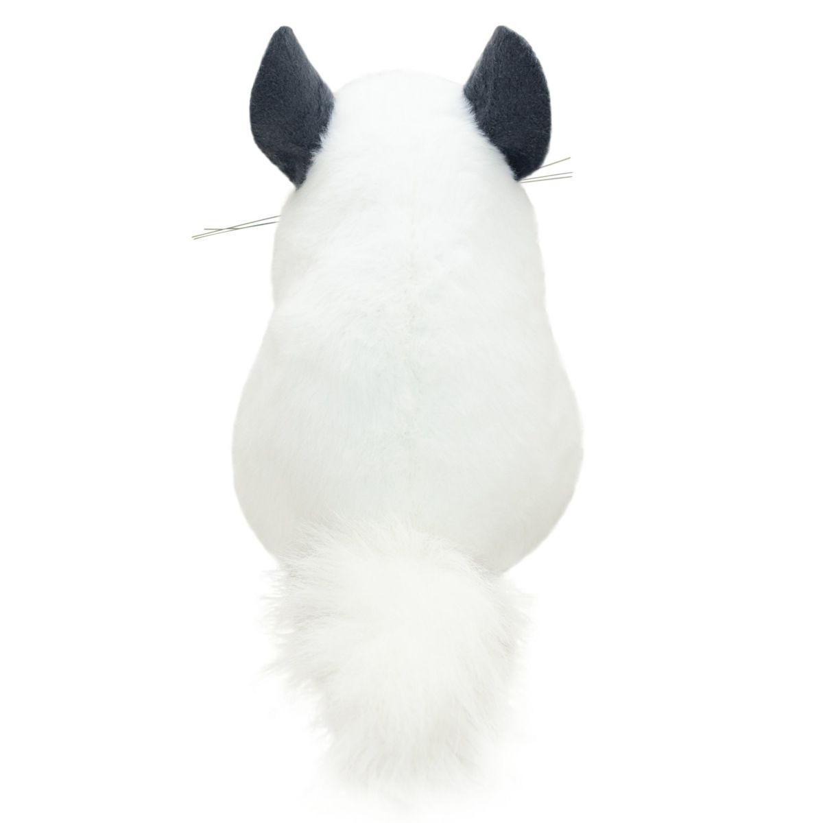 チンチラ モダン かわいい 人気 おしゃれ