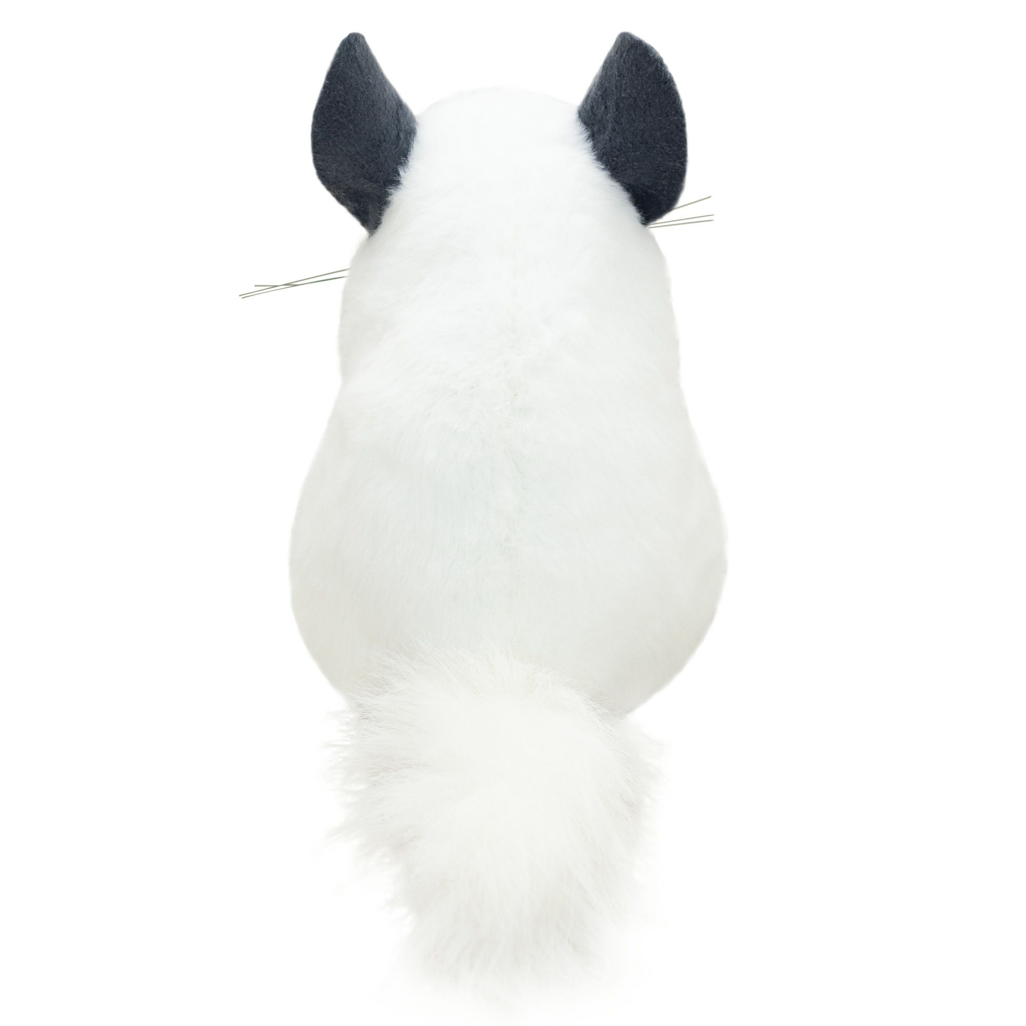 チンチラ モダン かわいい 人気 おしゃれ