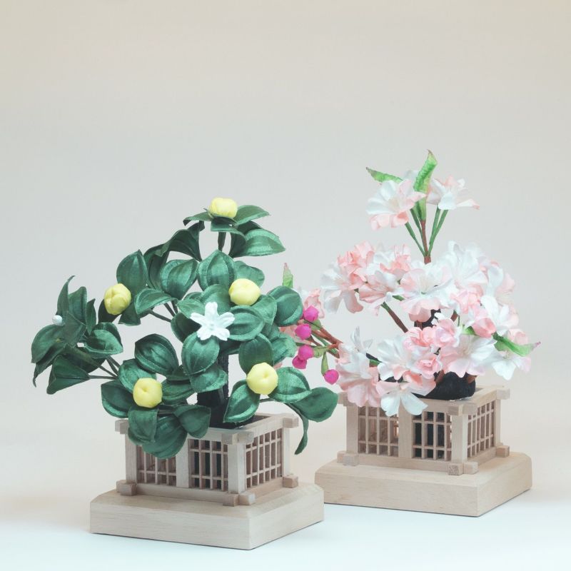 【雛人形】桜橘 白木角台 モダン かわいい 人気 おしゃれ