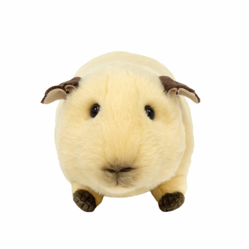 000000004893-02-l.jpg?t=